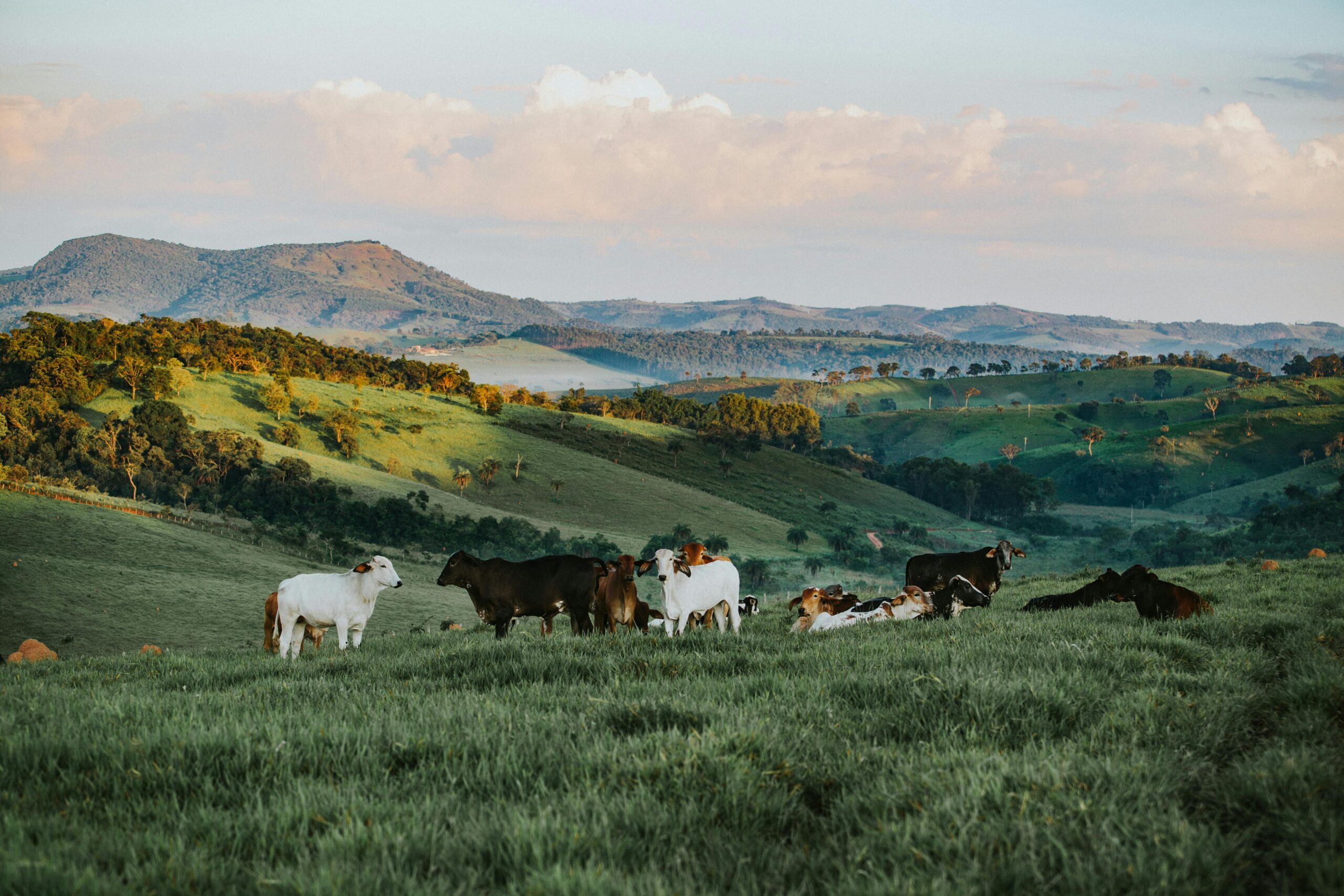 6 Private U.S. Ranches You Shouldn’t Miss!